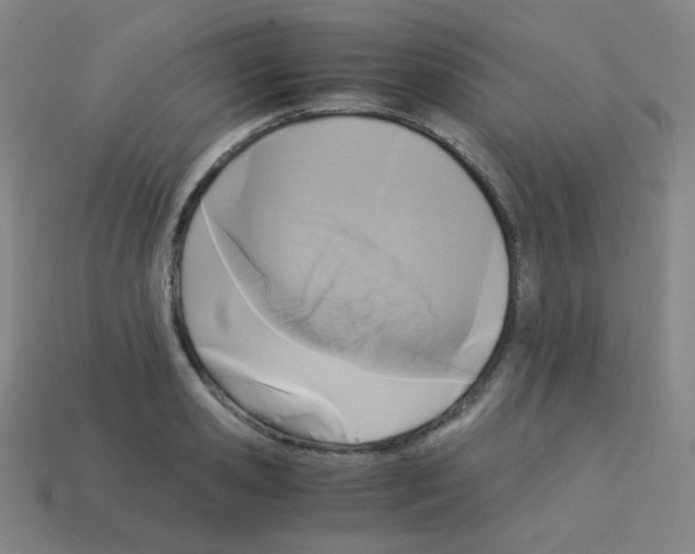 X0000113250941200910221118