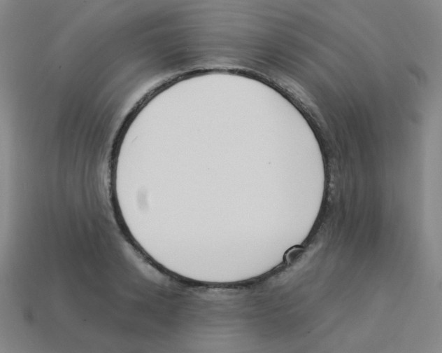 X0000113250942200910221118