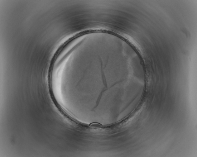 X0000113250943200910221118