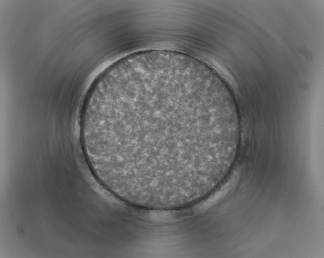 X0000113250944200910221118