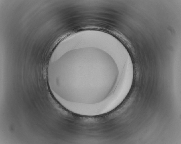 X0000113250945200910221118