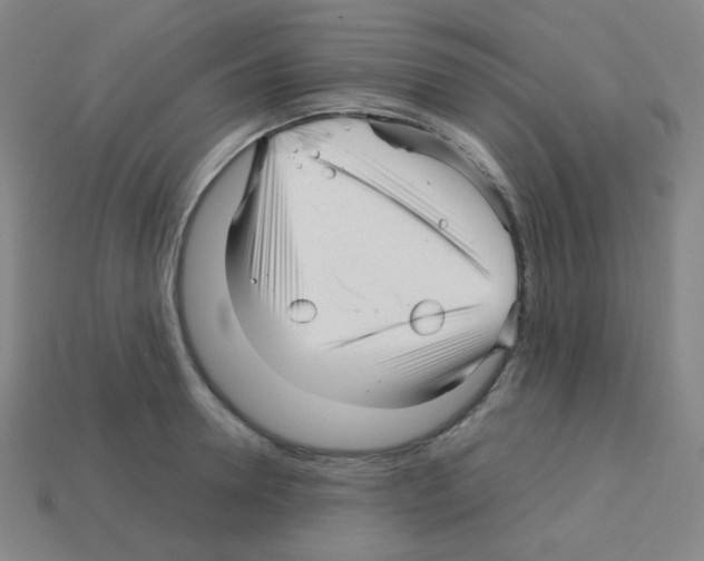 X0000113250946200910221118