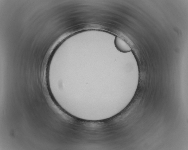 X0000113250947200910221118