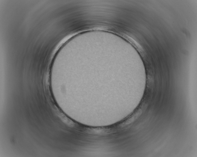 X0000113250948200910221118