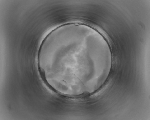 X0000113250951200910221118