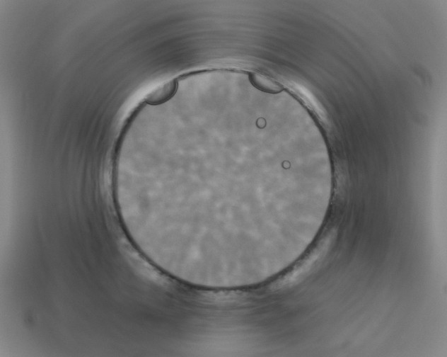 X0000113250952200910221118