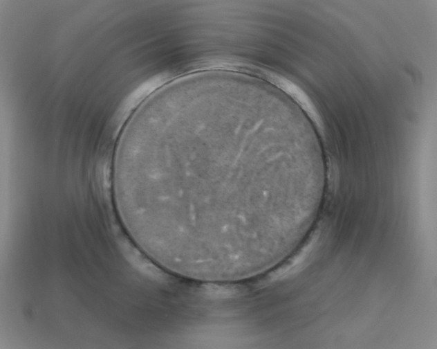 X0000113250954200910221118