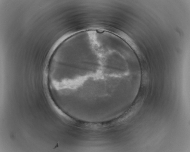 X0000113250955200910221118