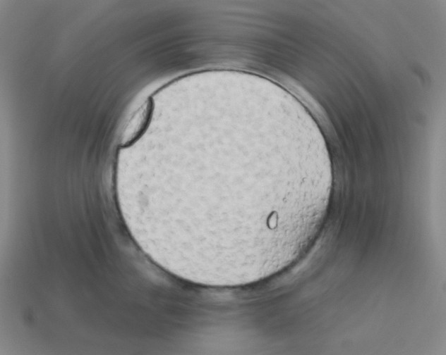 X0000113250956200910221118