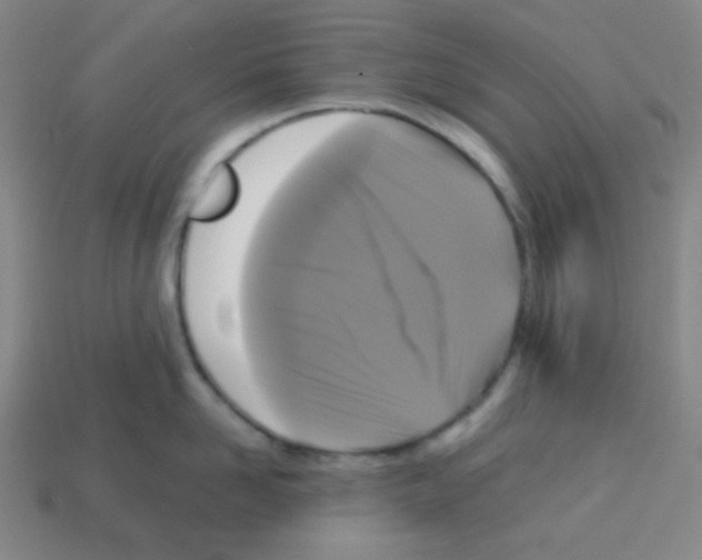 X0000113250958200910221118