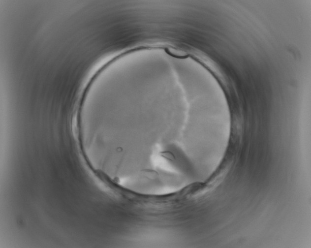 X0000113250959200910221118