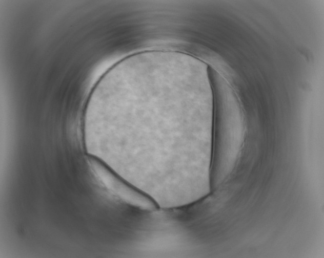 X0000113250960200910221118