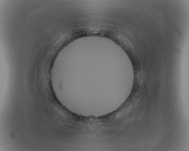 X0000113250961200910221118