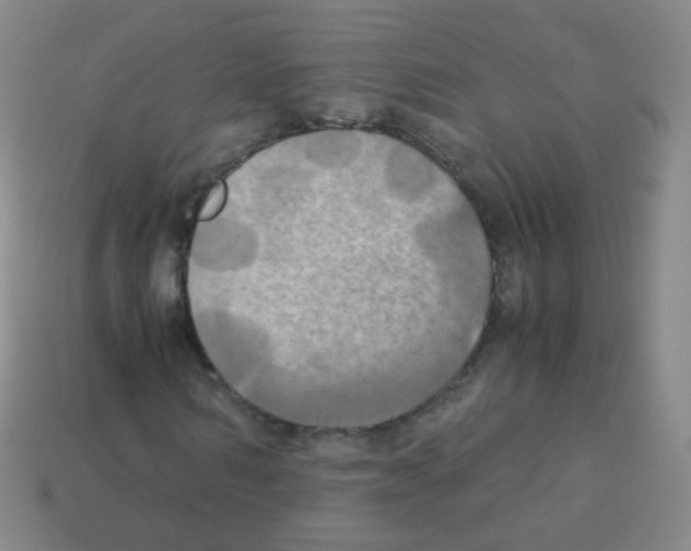 X0000113250962200910221117