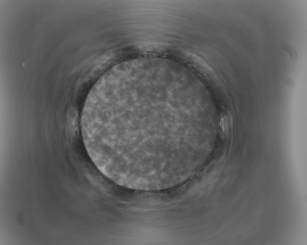 X0000113250963200910221117