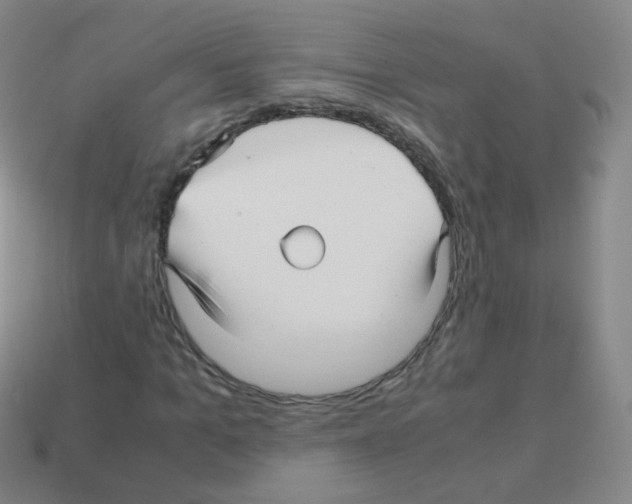 X0000113250965200910221117