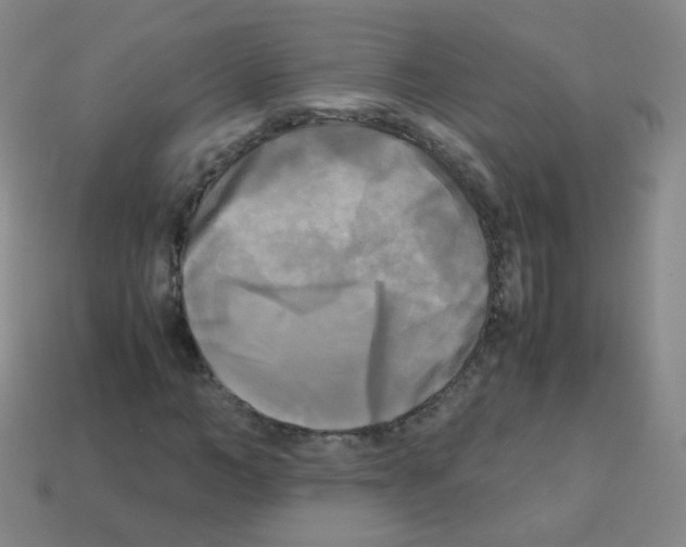 X0000113250966200910221117