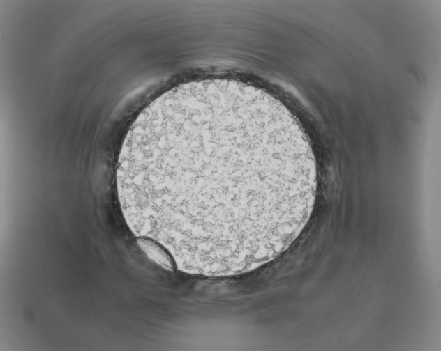 X0000113250967200910221117