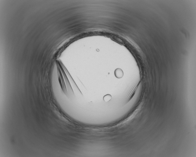 X0000113250969200910221117