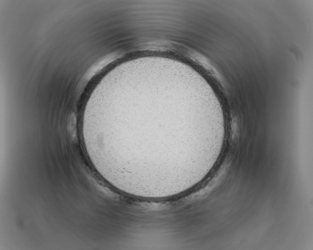 X0000113250970200910221117