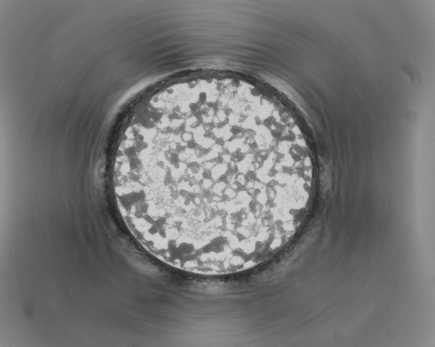 X0000113250971200910221117