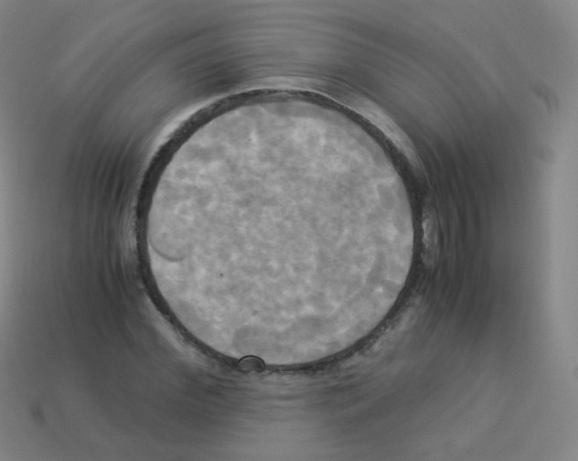 X0000113250972200910221117