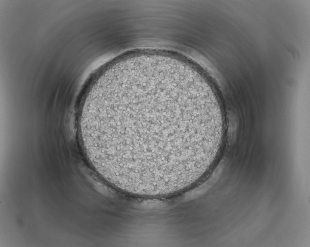 X0000113250974200910221117