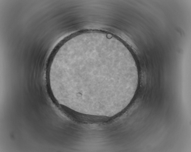 X0000113250976200910221117