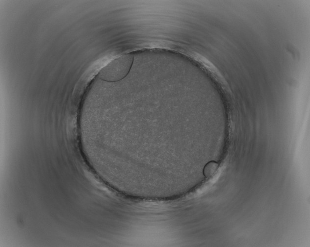 X0000113250977200910221117