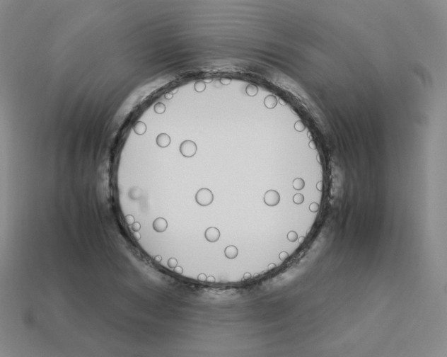 X0000113250978200910221117