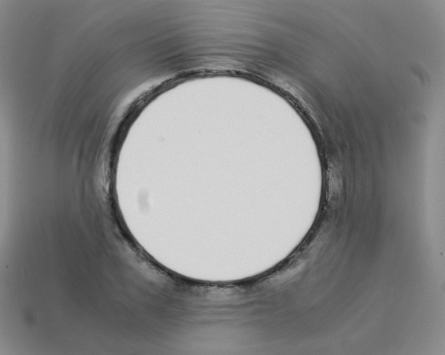 X0000113250979200910221117