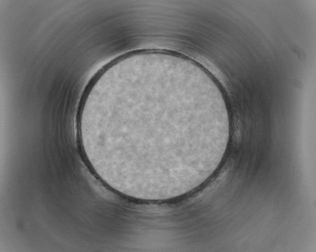 X0000113250980200910221117