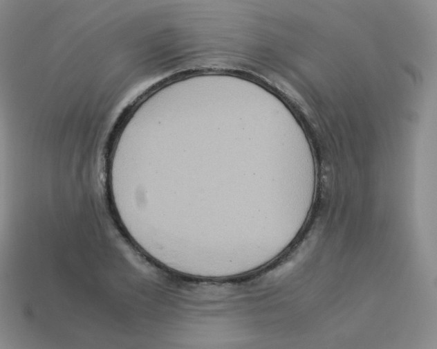 X0000113250981200910221117