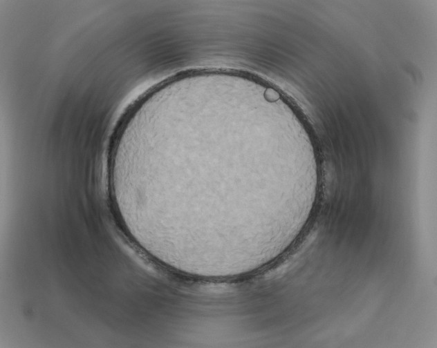 X0000113250982200910221117