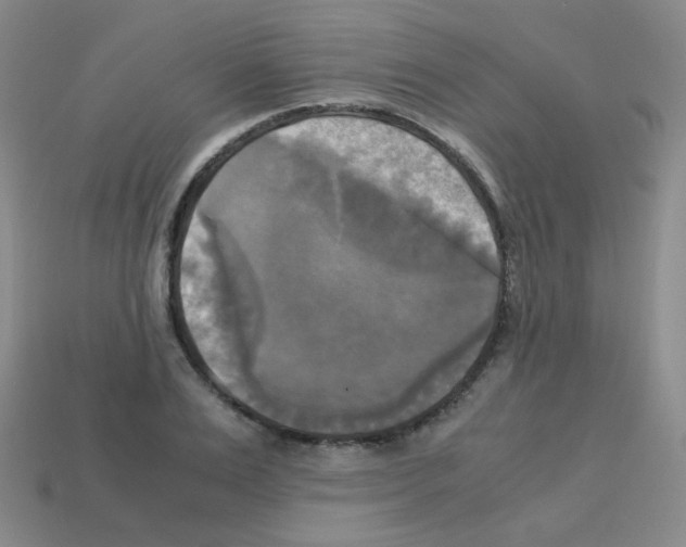 X0000113250983200910221117