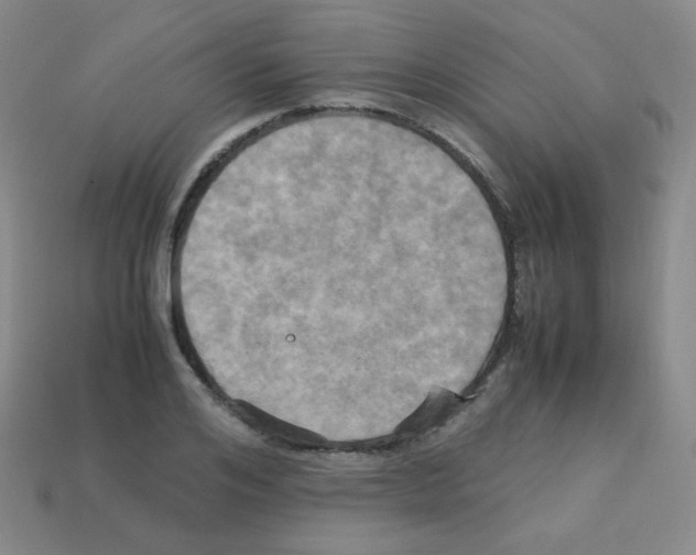 X0000113250984200910221117