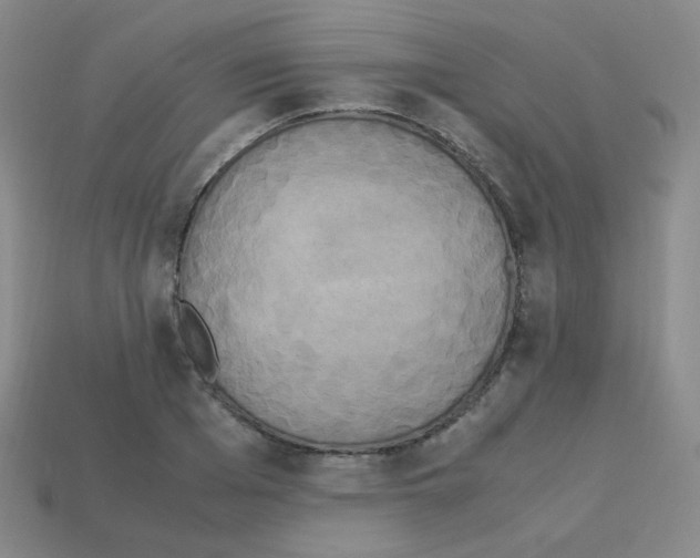 X0000113250985200910221117