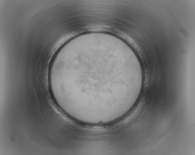 X0000113250986200910221117