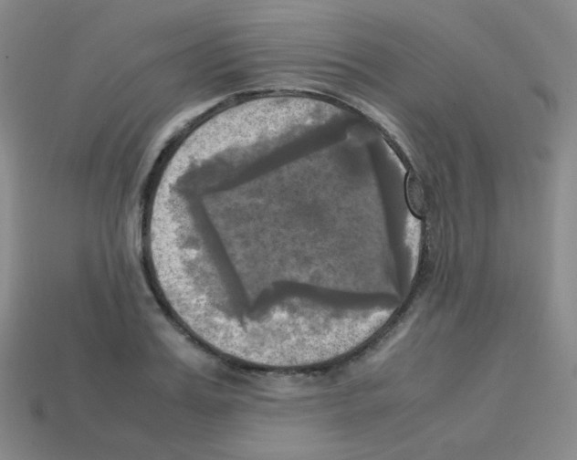 X0000113250987200910221117