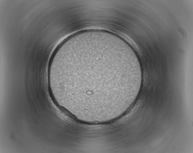 X0000113250988200910221117