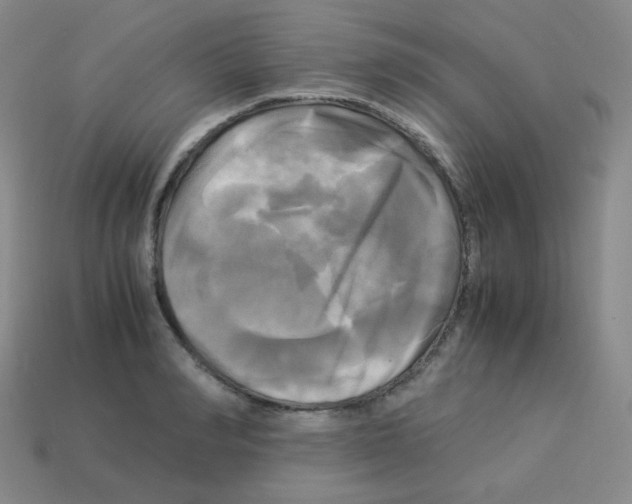 X0000113250990200910221117