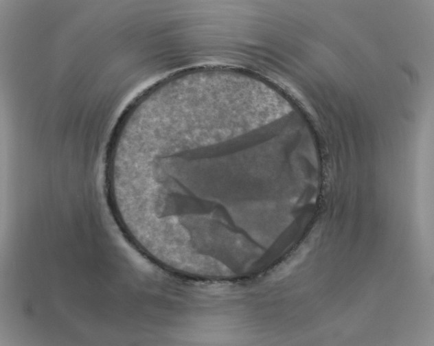 X0000113250991200910221117