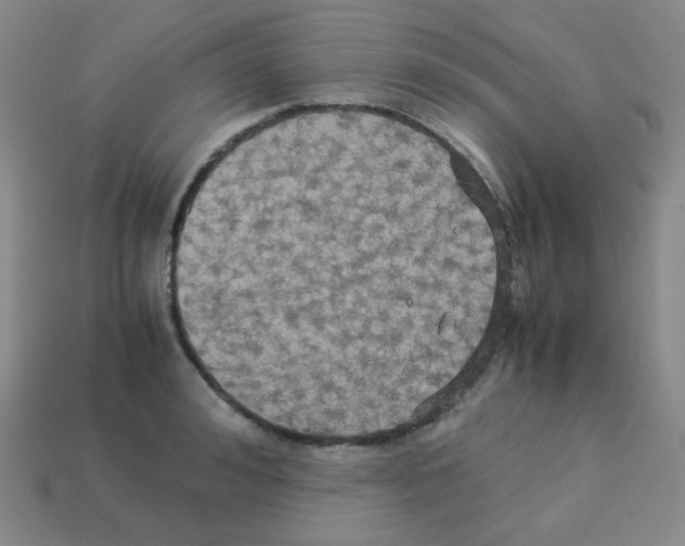 X0000113250992200910221117