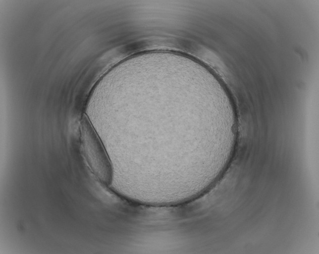 X0000113250993200910221117