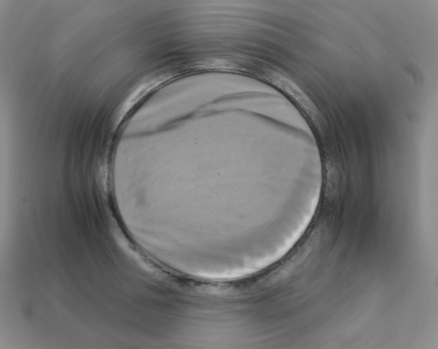 X0000113250994200910221117