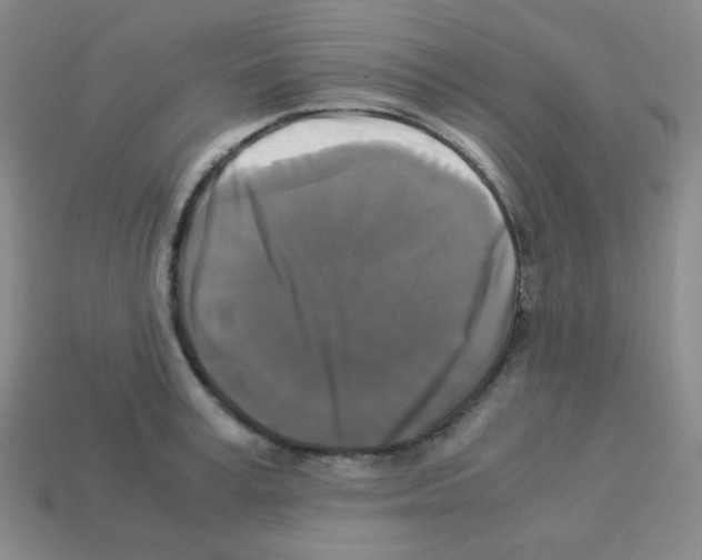 X0000113250995200910221117