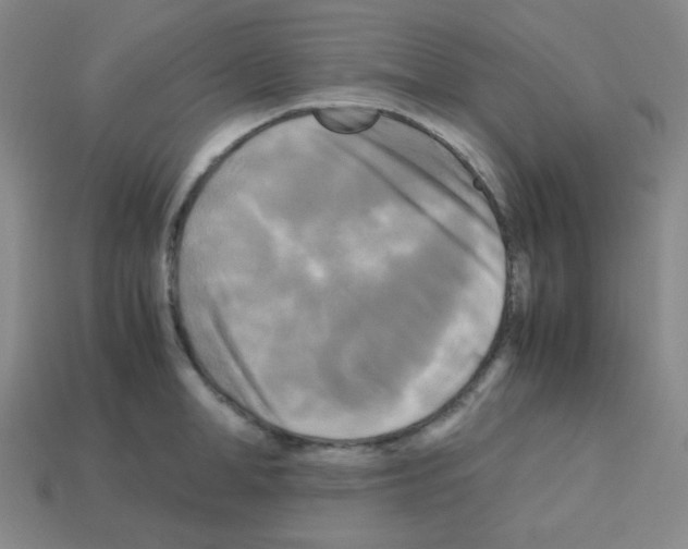 X0000113250998200910221117