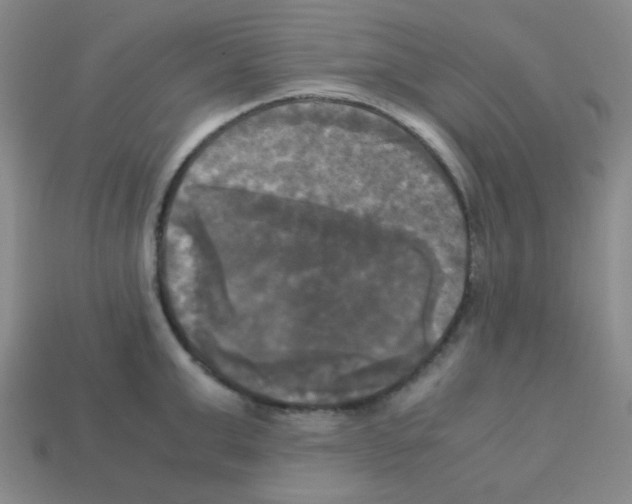 X0000113250999200910221117