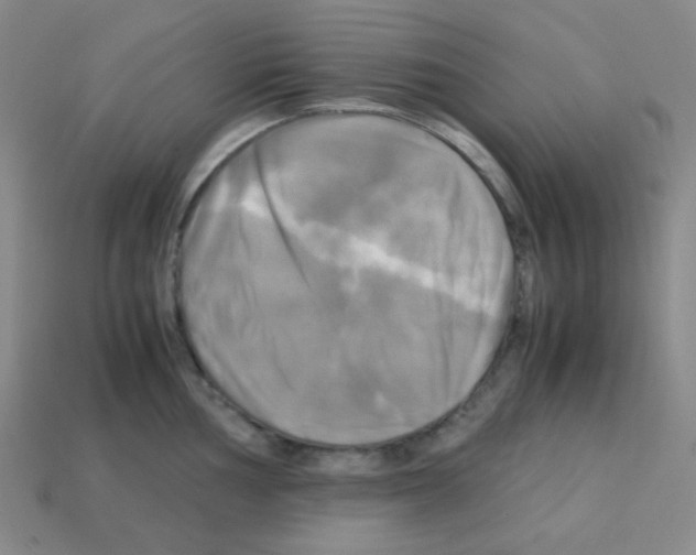 X0000113251002200910221117