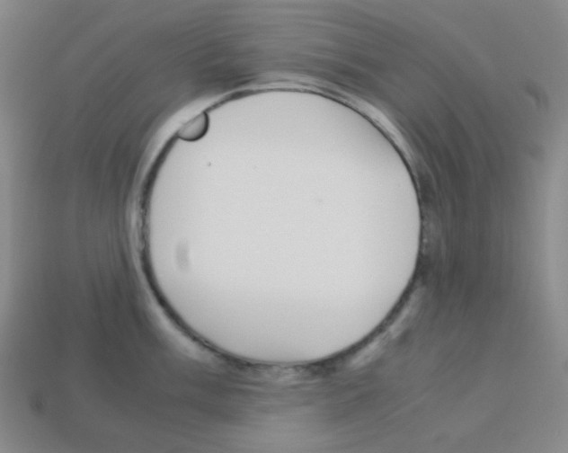 X0000113251003200910221117